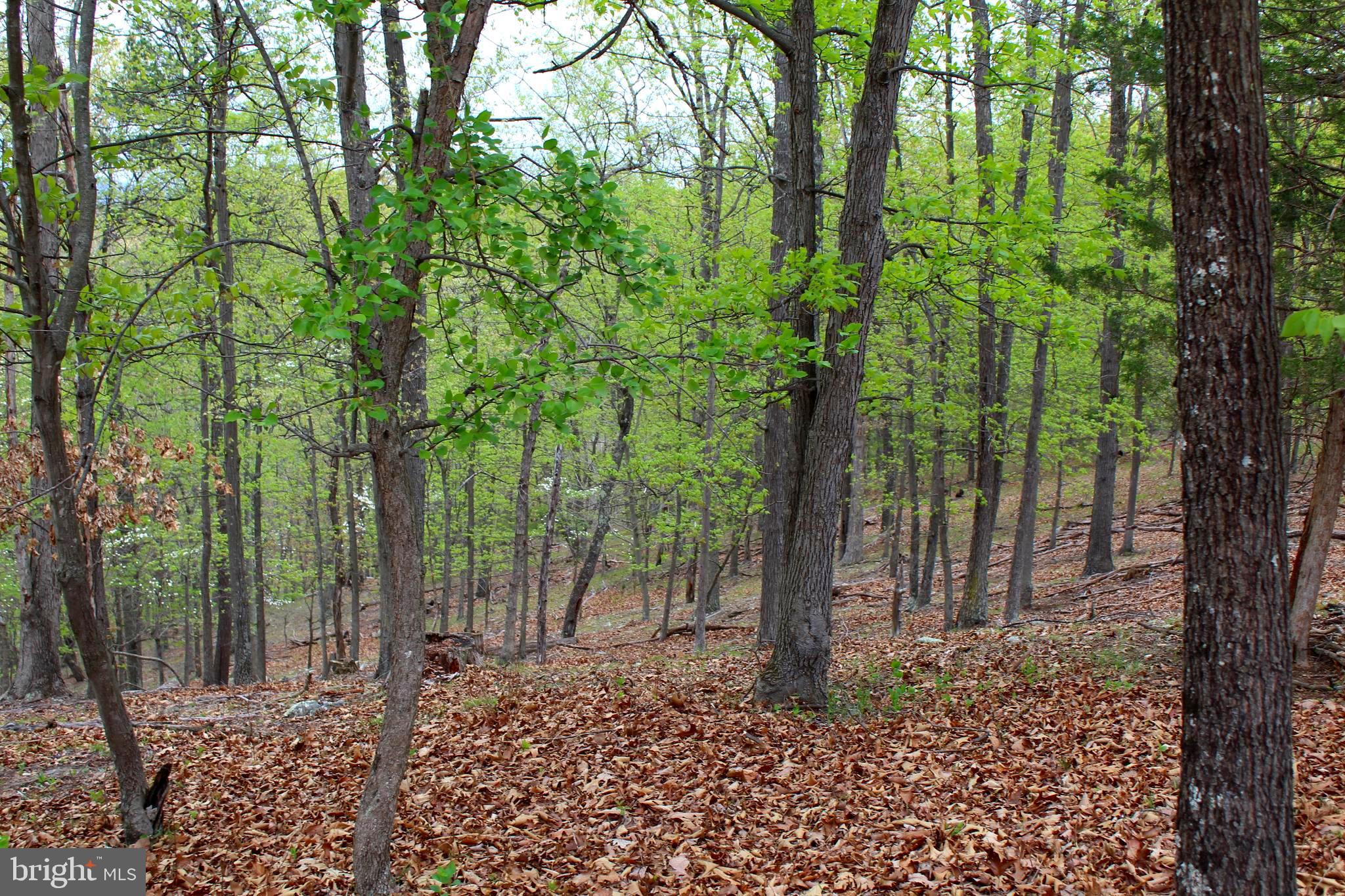 FLOWING SPRINGS - Residential