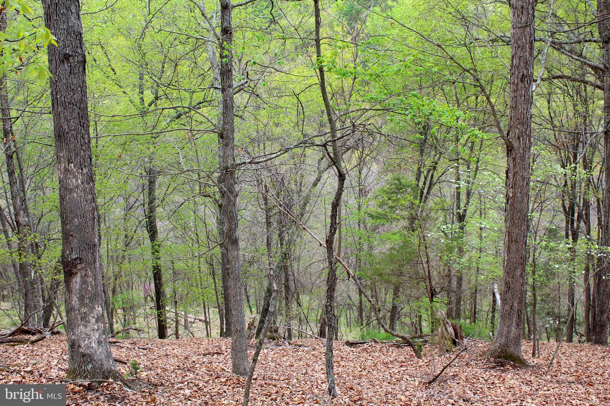 FLOWING SPRINGS - Residential