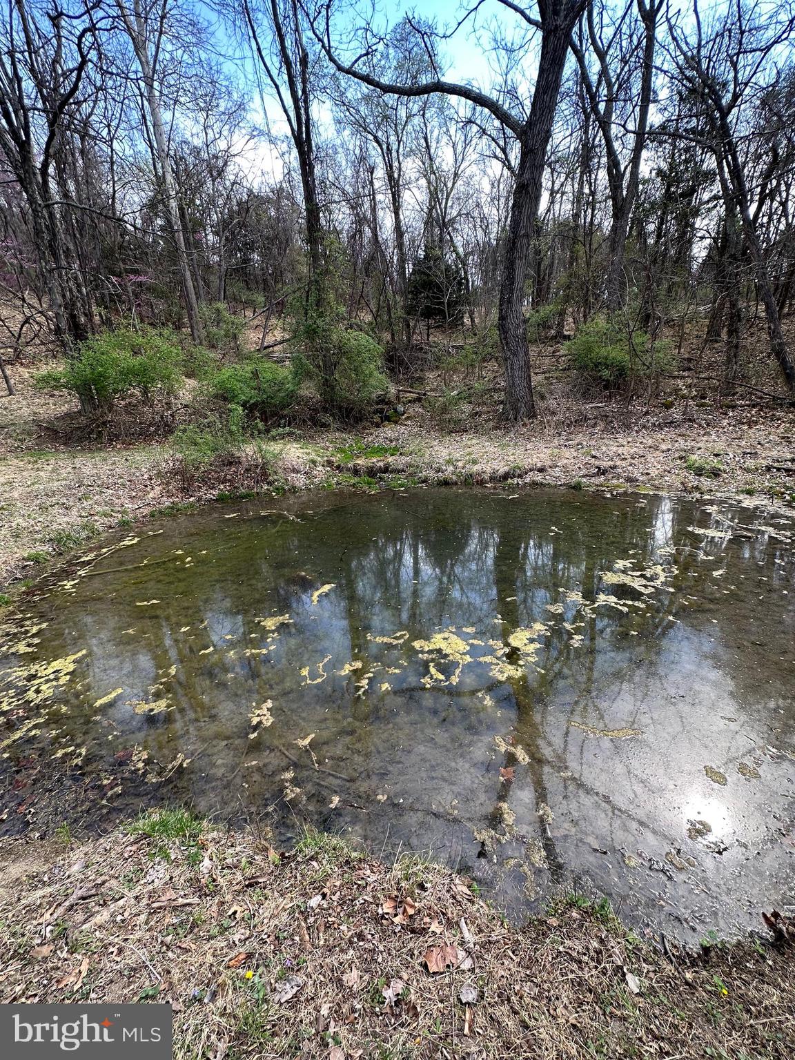 FLOWING SPRINGS - Residential