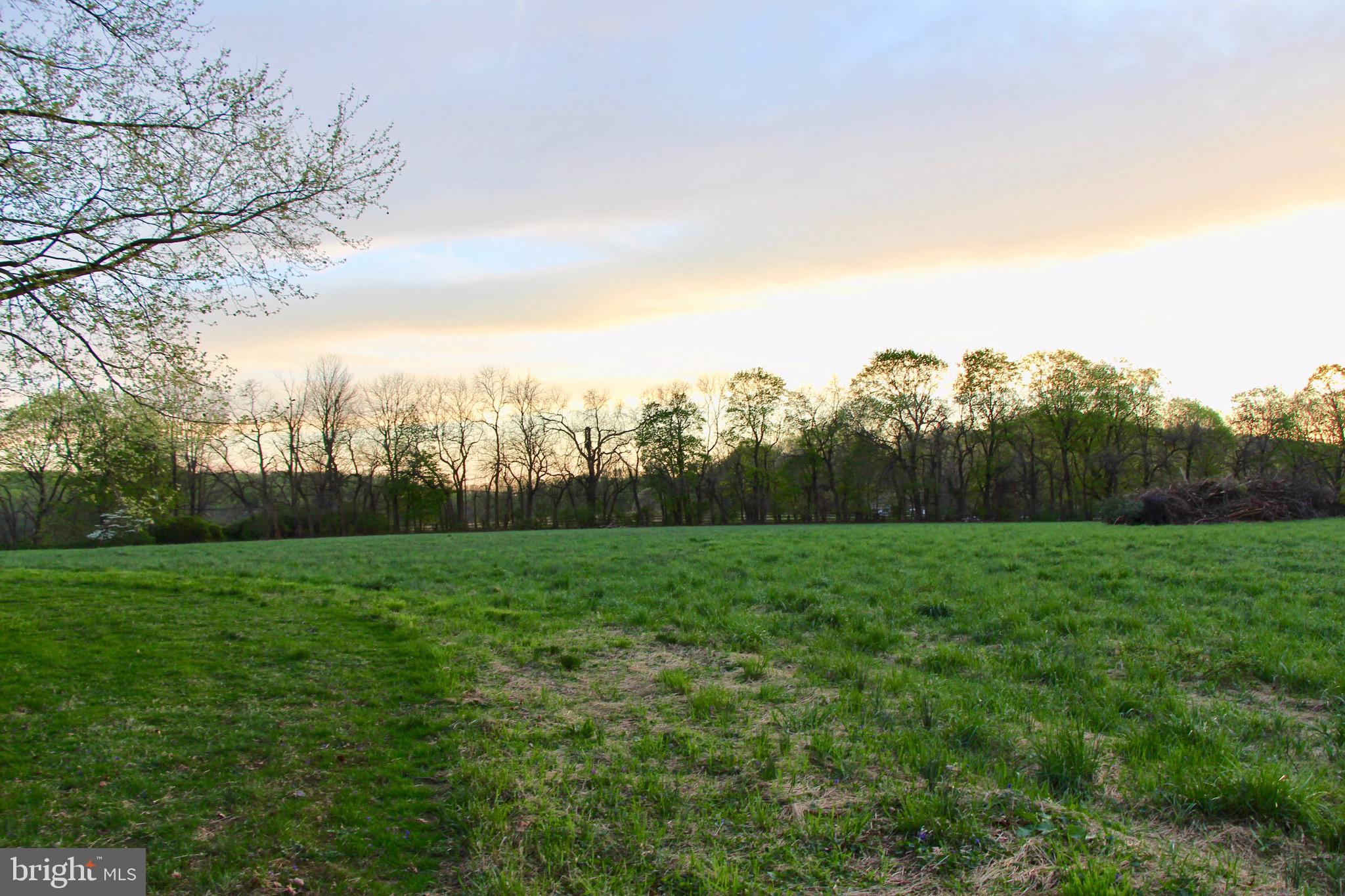 RADNOR HUNT - Residential