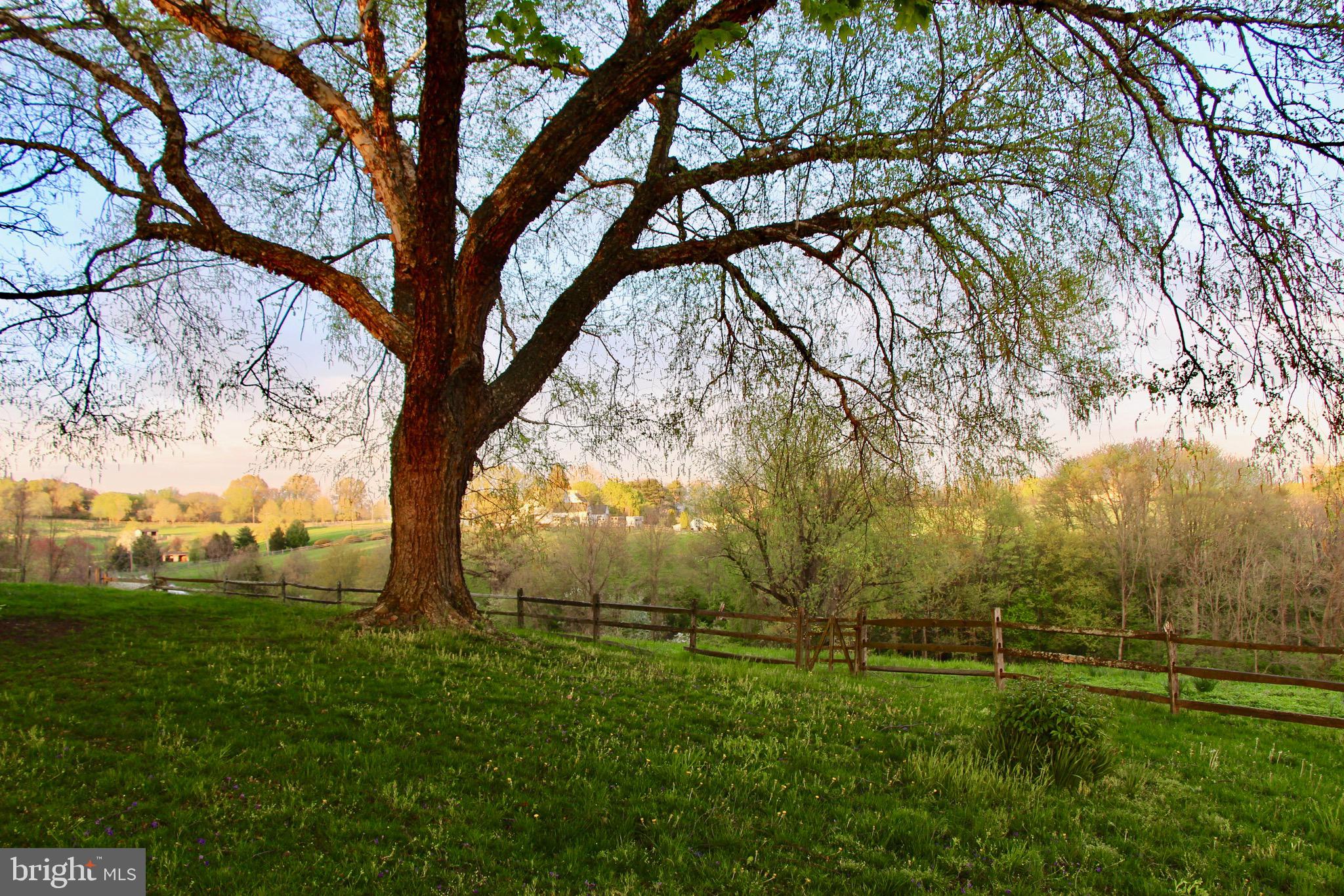 RADNOR HUNT - Residential