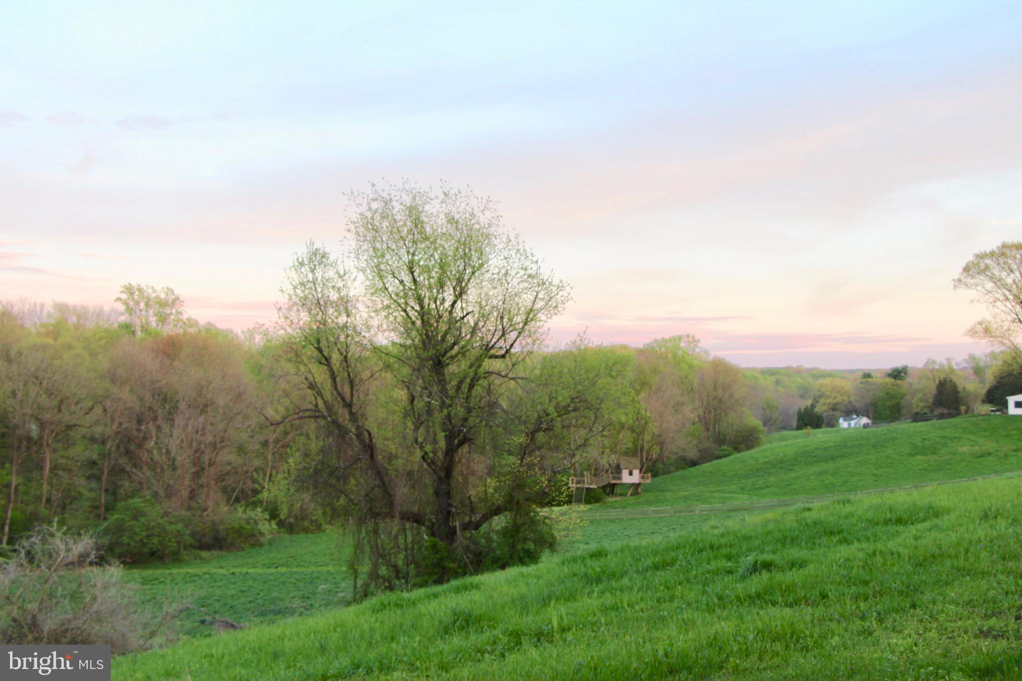 RADNOR HUNT - Residential