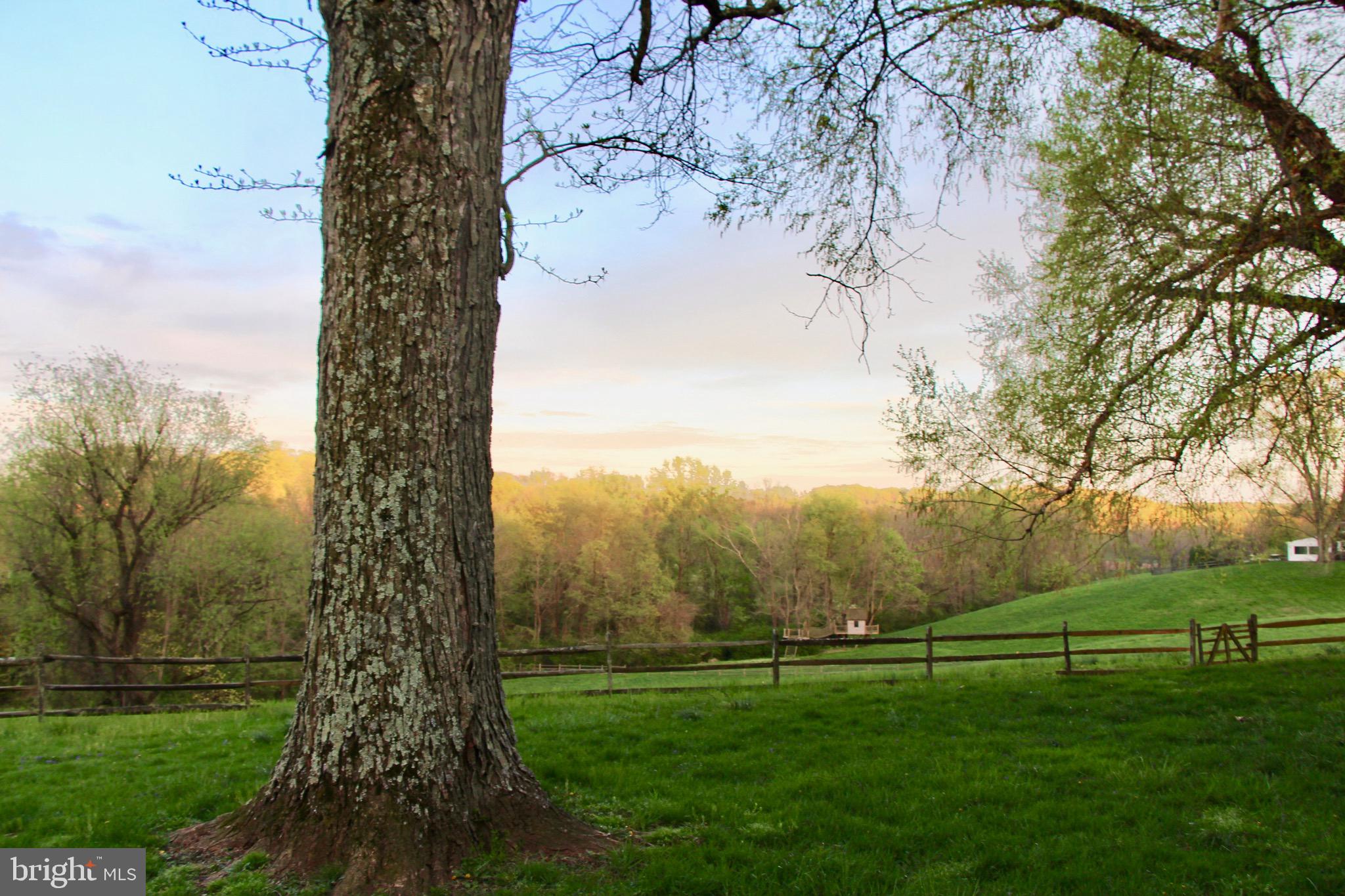 RADNOR HUNT - Residential