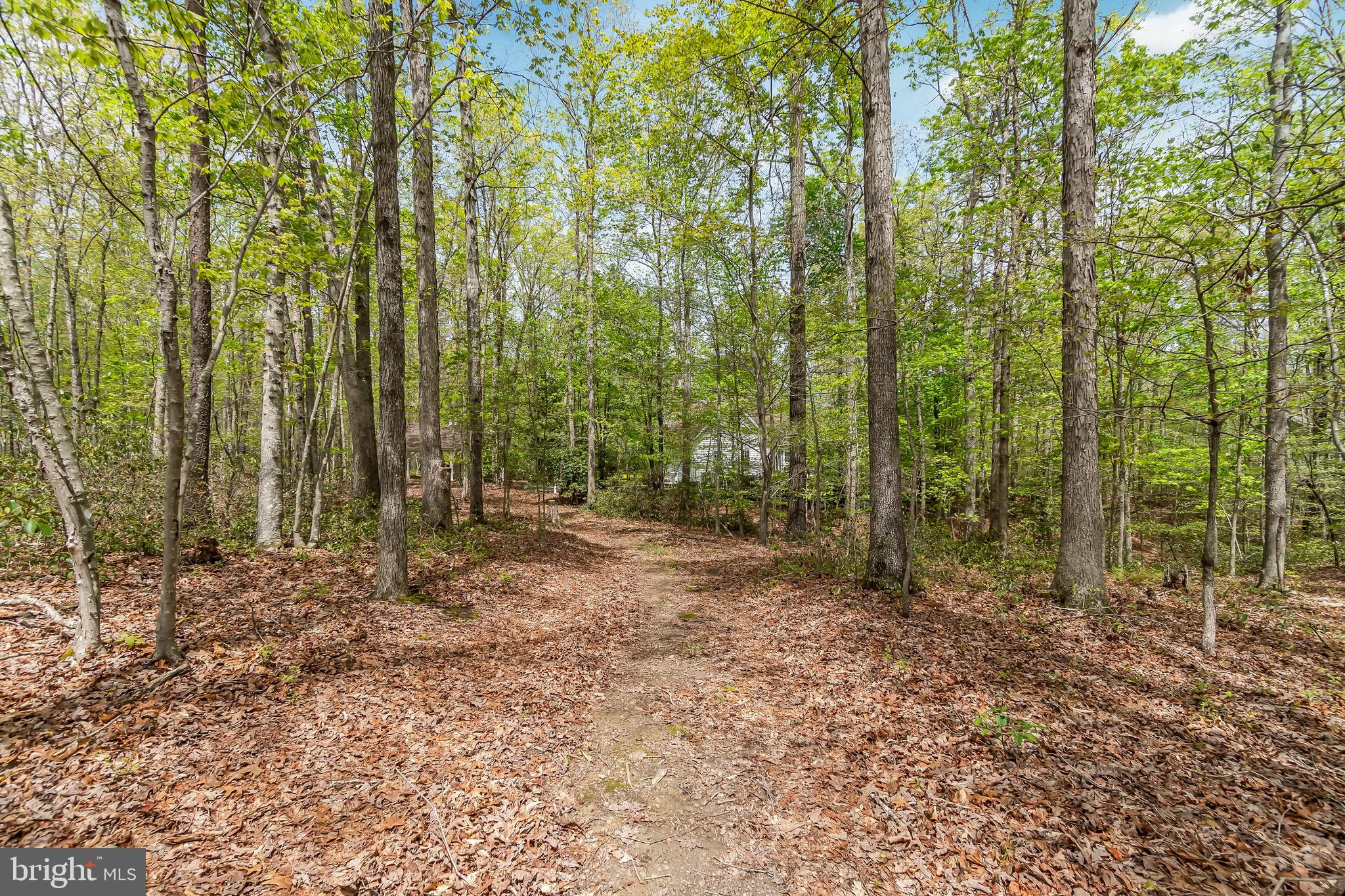 ESTATES OF CHANCELLORSVILLE - Residential