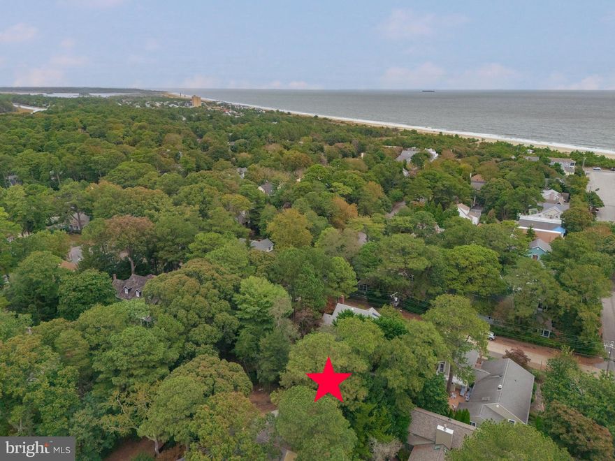 A beautiful opportunity awaits on one of the most charming blocks in-town Rehoboth Beach. This picturesque 50x100 parcel, shaded by a canopy of mature trees, offers a blank canvas to create the beach home you’ve always imagined. Just one block from the Atlantic Ocean, you can stroll to the sand in minutes or wander over to the vibrant shops and locally loved restaurants that give downtown Rehoboth its timeless coastal character. Whether you dream of a shingled cottage with a front porch for morning coffee or a sunny retreat for family gatherings after a day at the beach, this property sets the stage for the next chapter of your story by the sea.