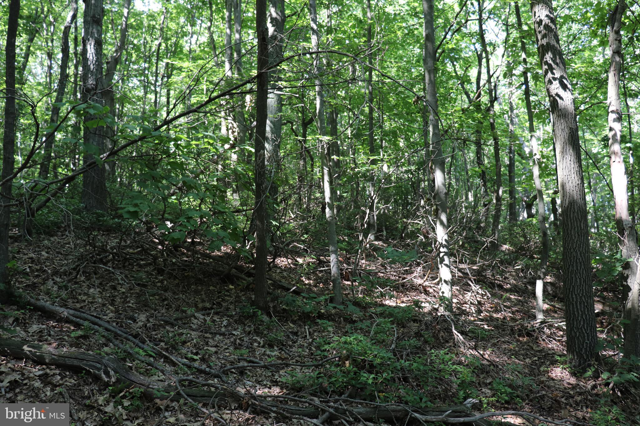LOT 319 RIDGE RUN