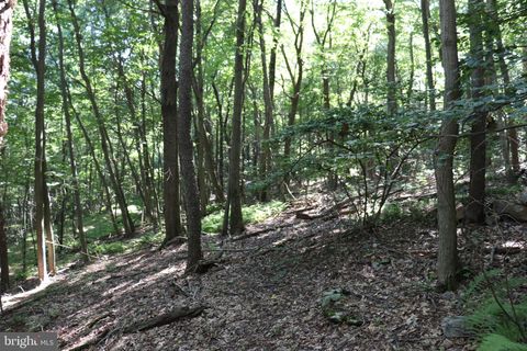 Vacant Land For Sale - Lot 319 Ridge Run<br/> CLAYSBURG, PA 16625
