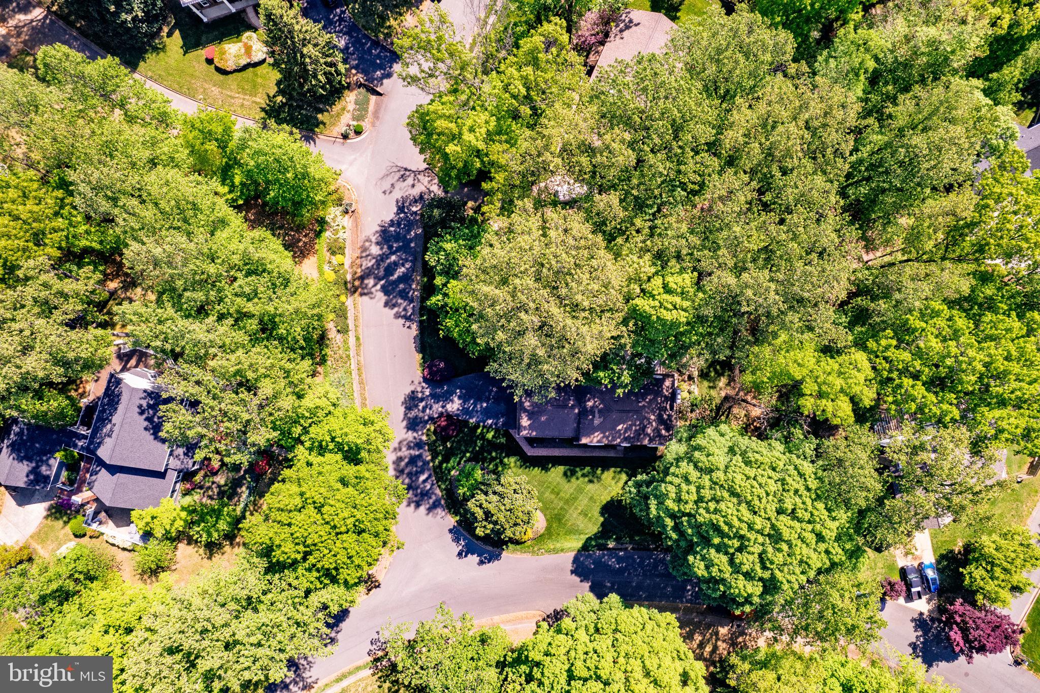 LAKE MONTCLAIR - Residential