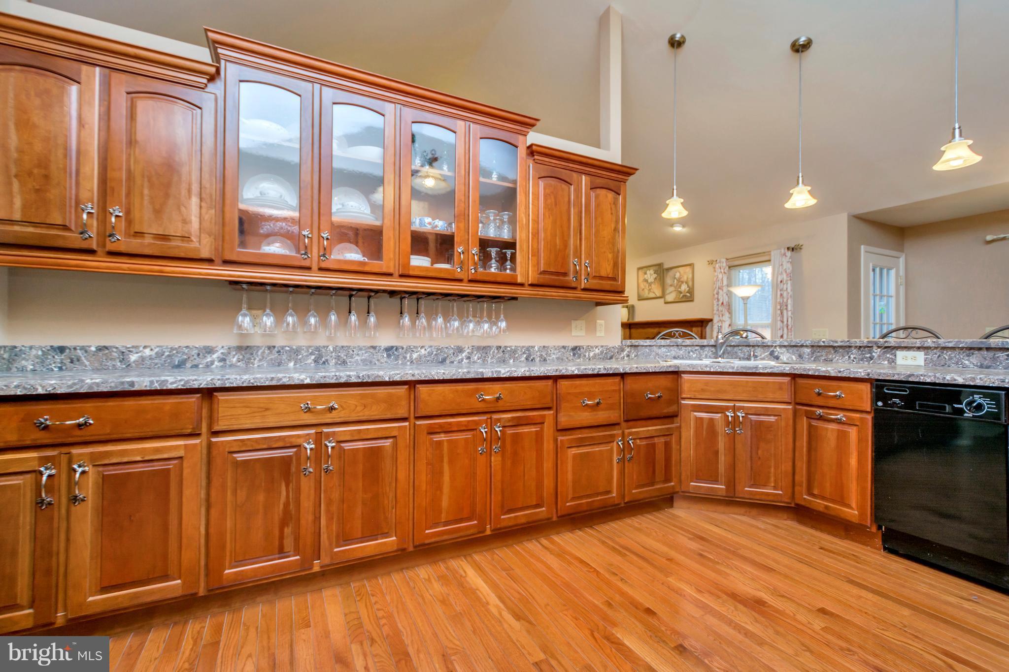 LAKE OF THE WOODS - Residential