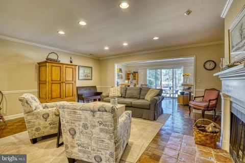 24354 WIDGEON 20 SAINT MICHAELS MD 21663