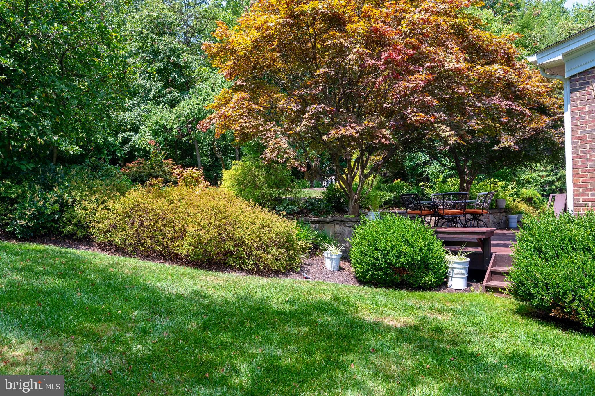 DARTMOOR WOODS - Residential