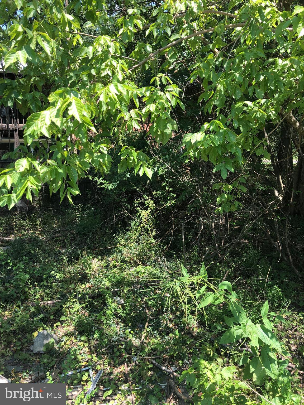 CLINTON HEIGHTS - Residential Lease