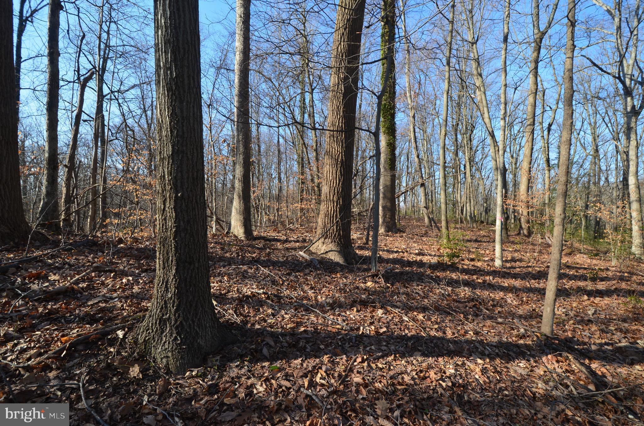 1013 WATERBURY HEIGHTS DRIVE