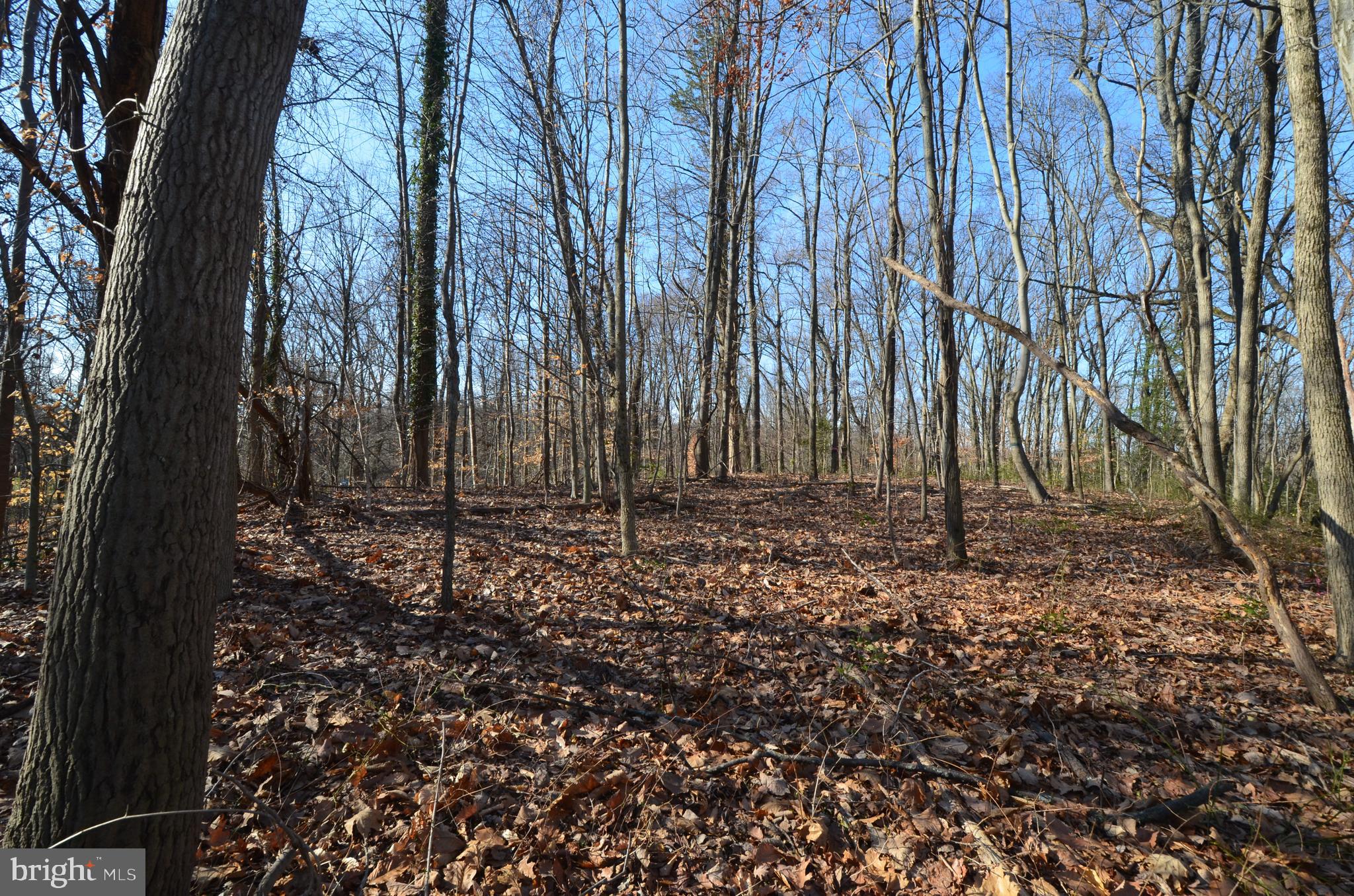 1013 WATERBURY HEIGHTS DRIVE