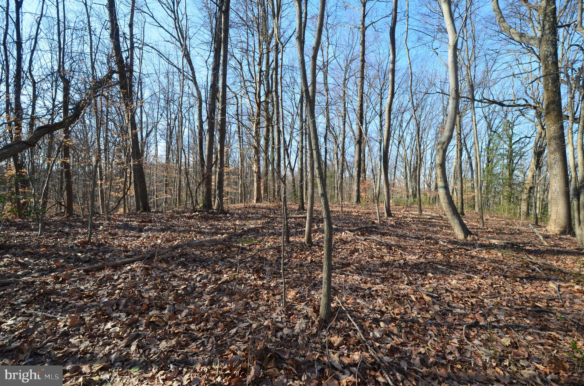 1013 WATERBURY HEIGHTS DRIVE