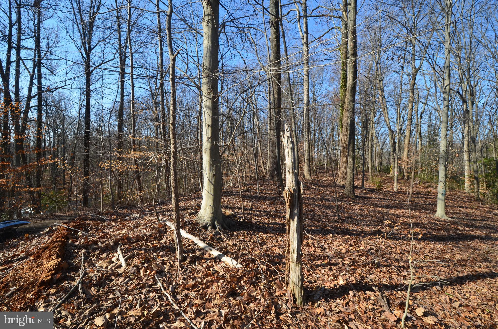 1013 WATERBURY HEIGHTS DRIVE