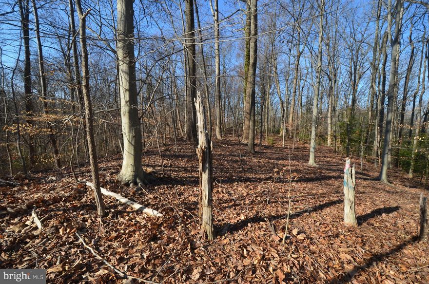 Secluded wooded lot, nearly an acre in size. The property was perc tested in three locations in 2023, with approval for a 3,500 sq.ft. home.