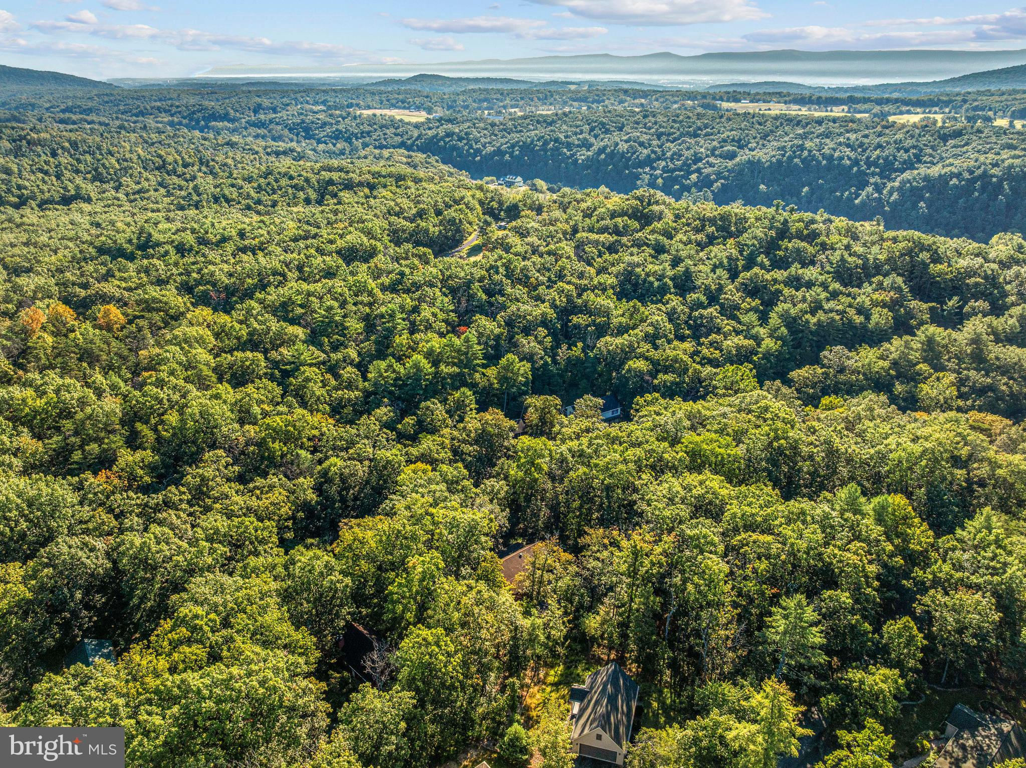 BRYCE  MOUNTAIN  RESORT - Residential