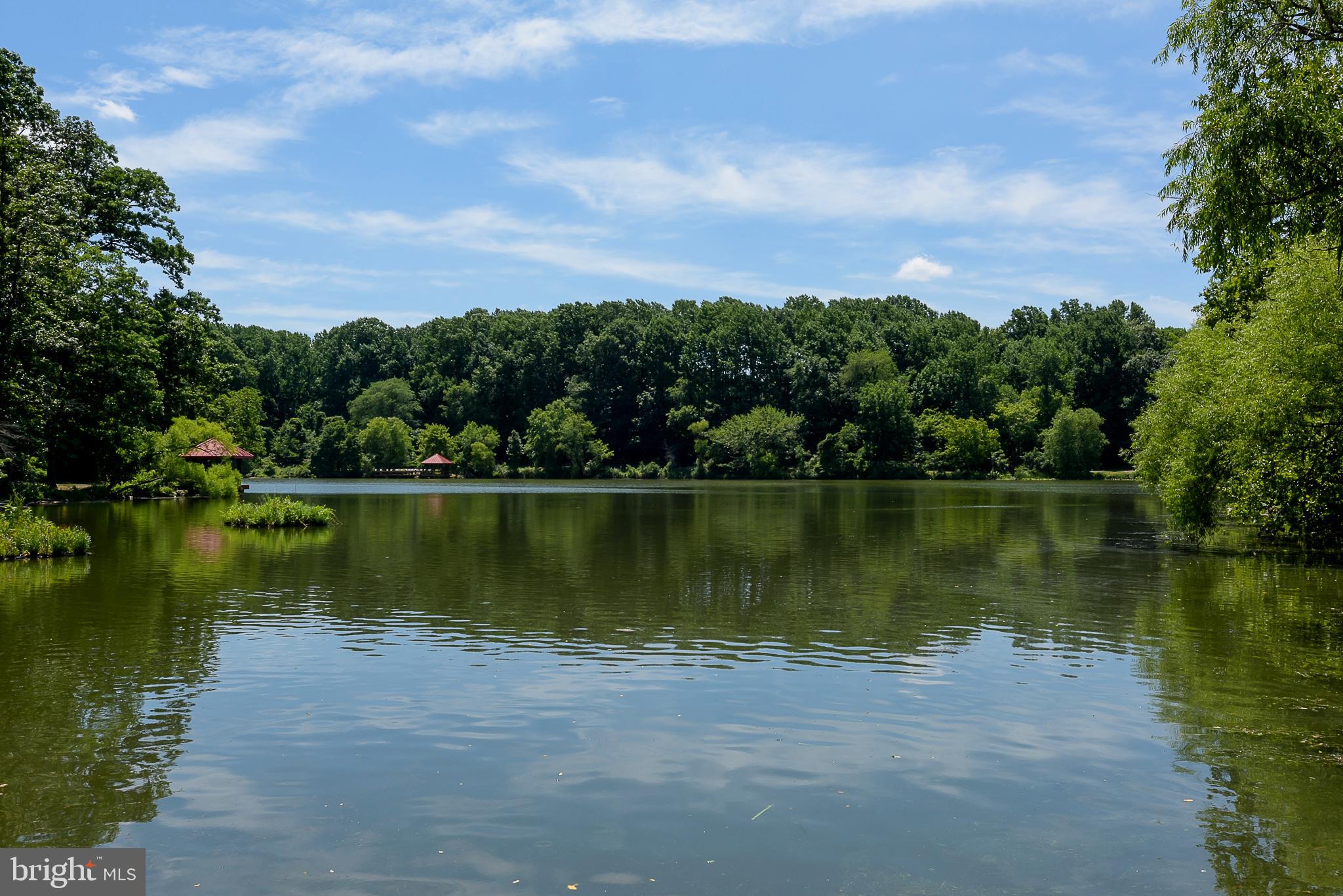 OAK TREE - Residential