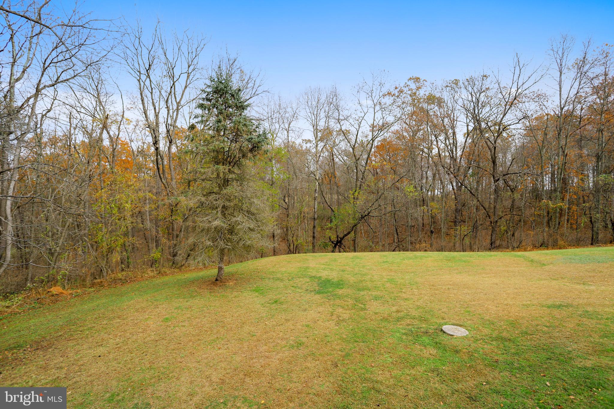 FORESTON RIDGE - Residential