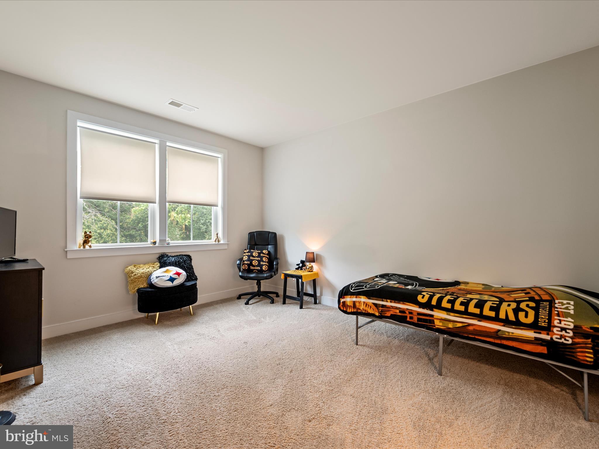 BLUE RIDGE ESTATES - Residential