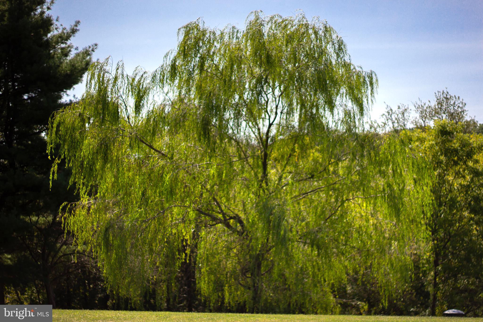 KEENEY MILL FARMS - Residential