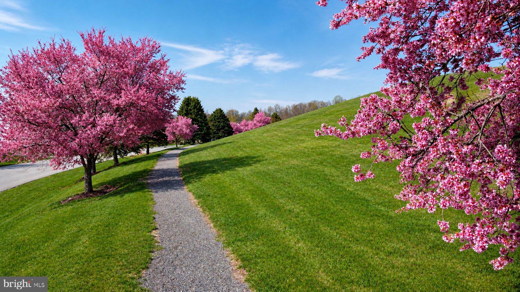 TWIN HILLS - Residential
