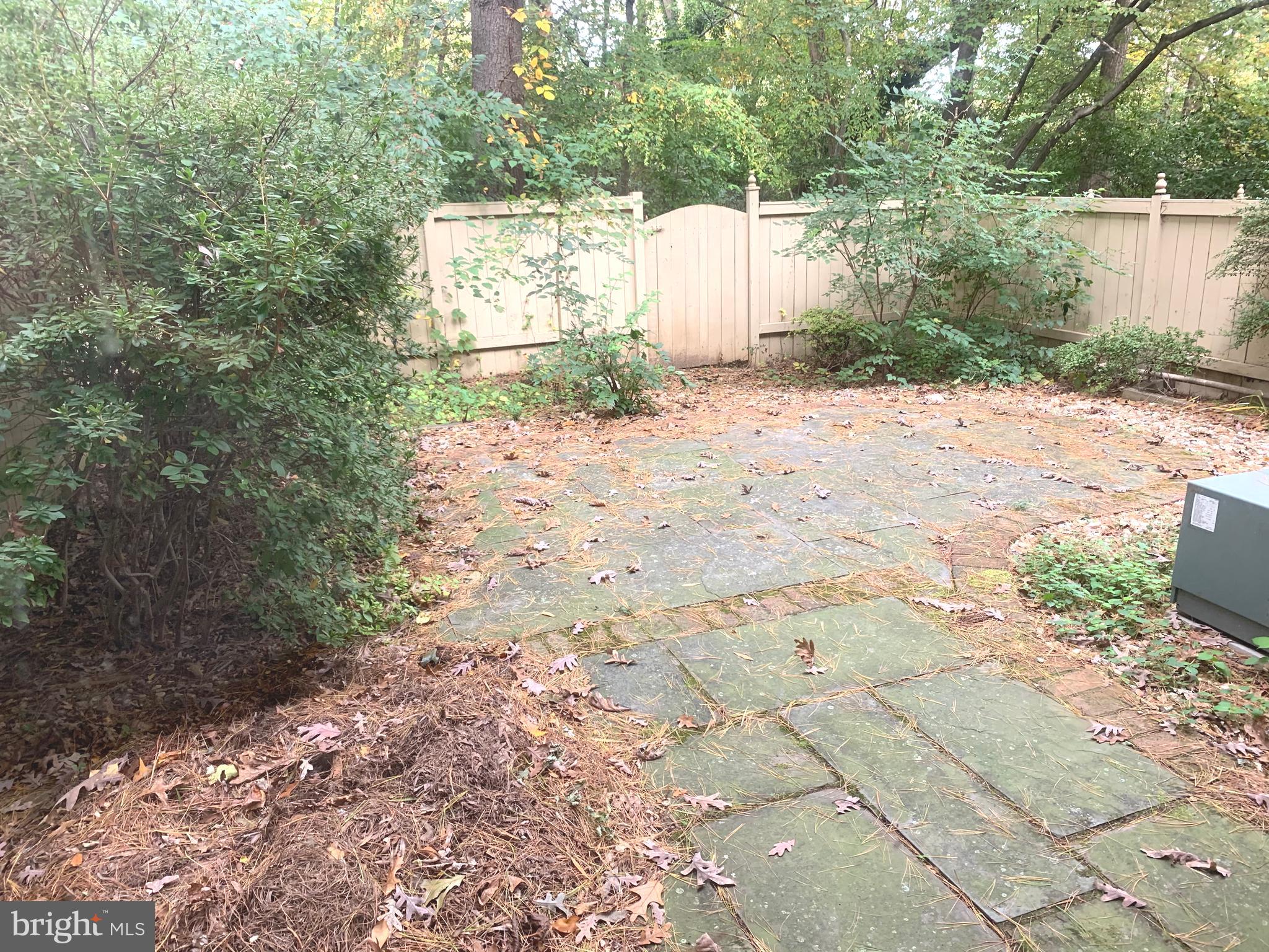 OLD GEORGETOWN VILLAGE - Residential Lease