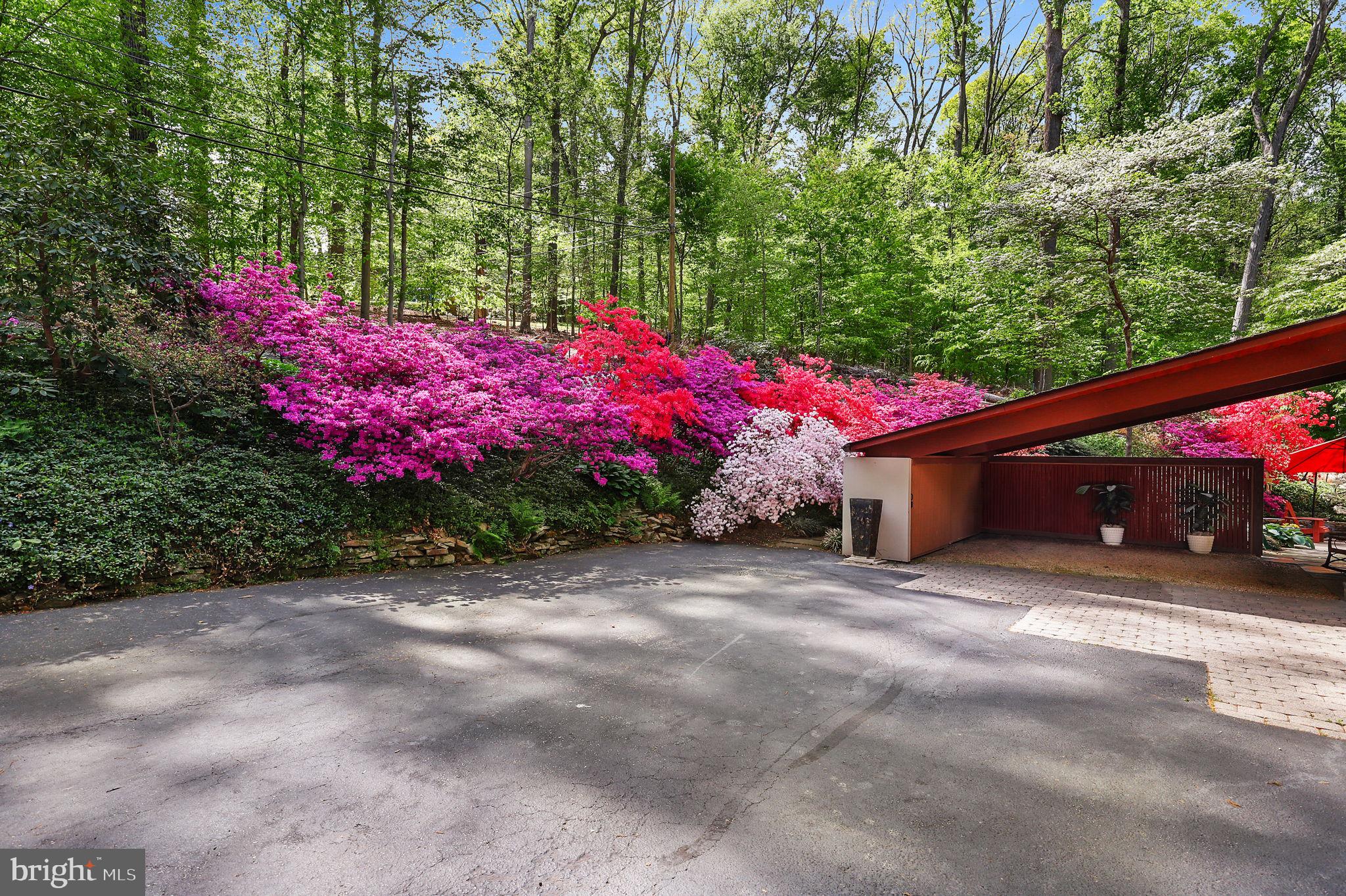 PINELEIGH - Residential