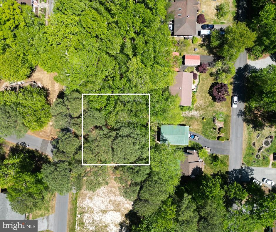 17 KENT AVENUE