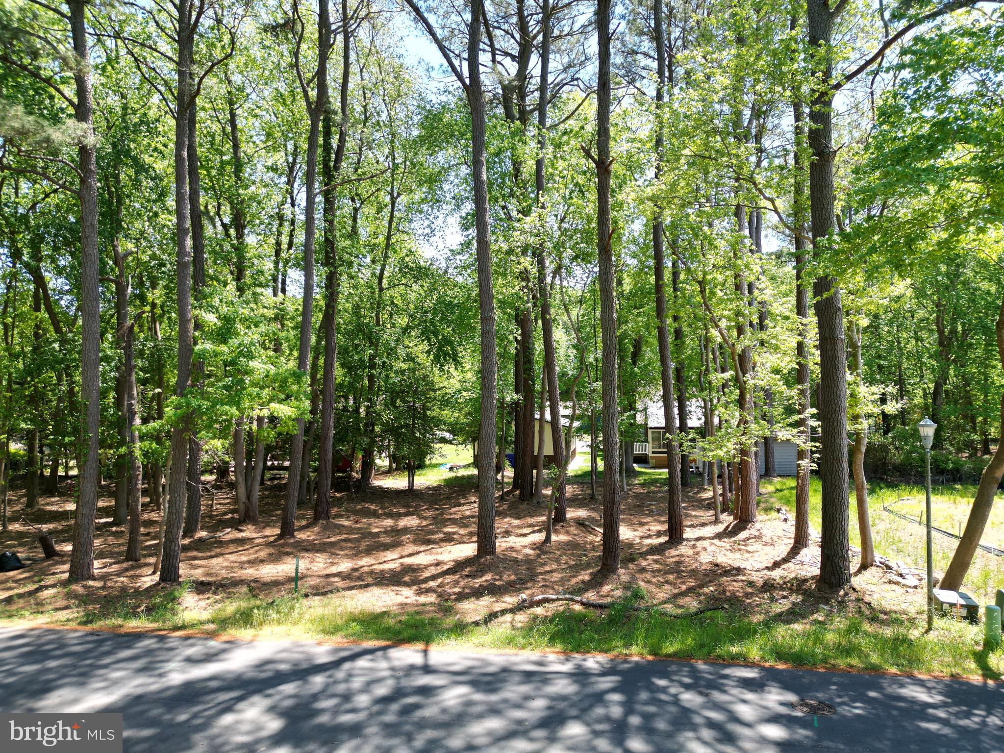 17 KENT AVENUE