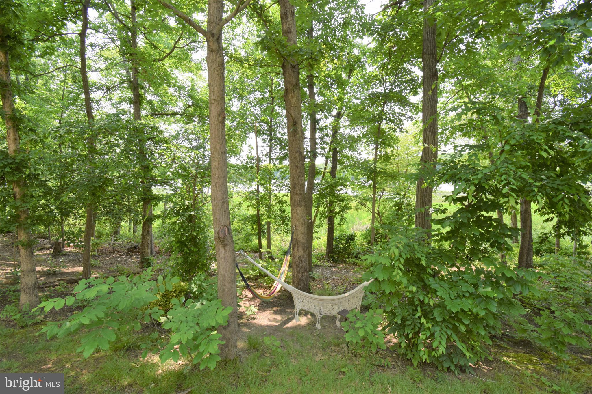 POWELLS LANDING - Residential Lease