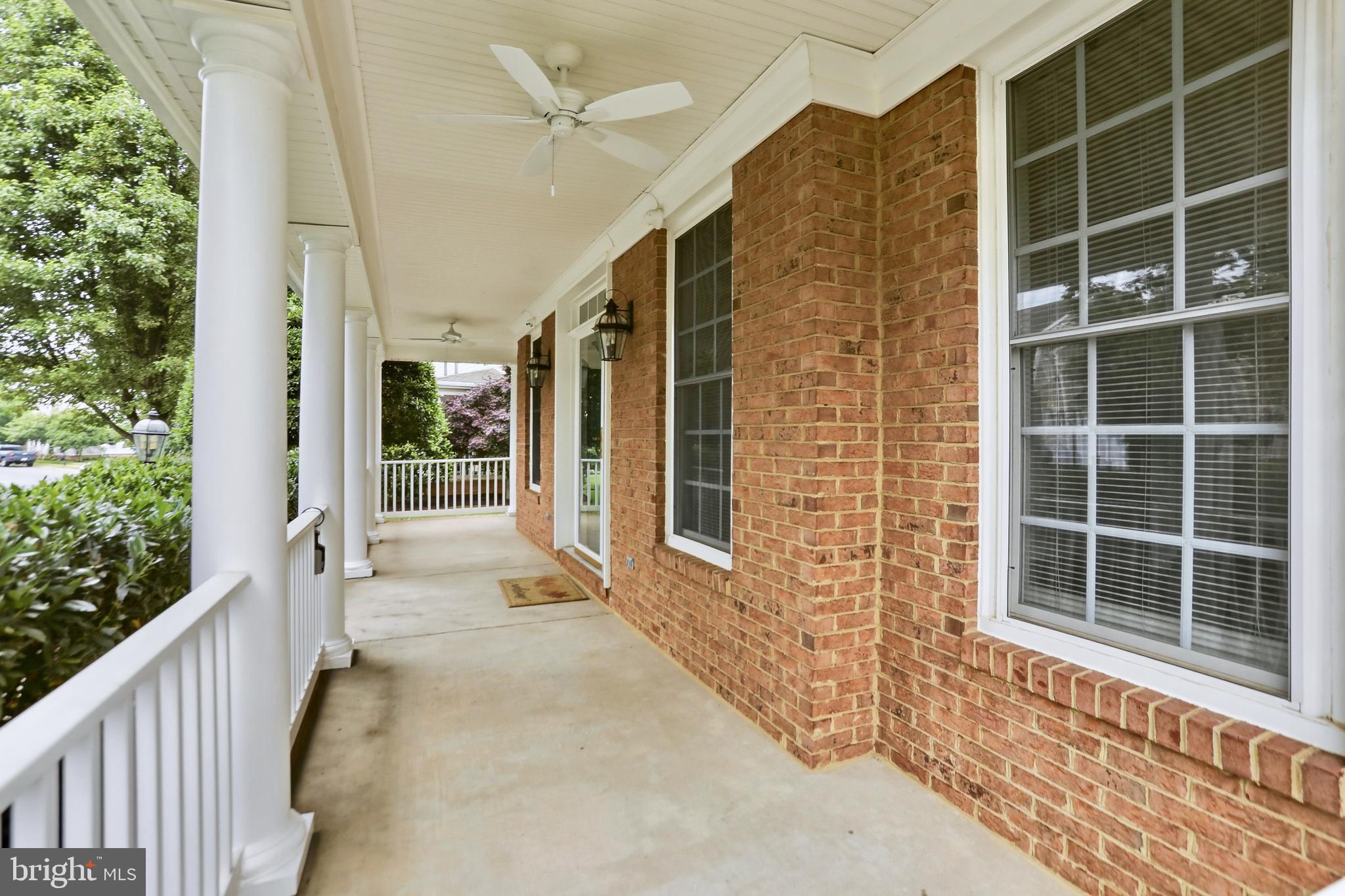22938 GOLDENROD