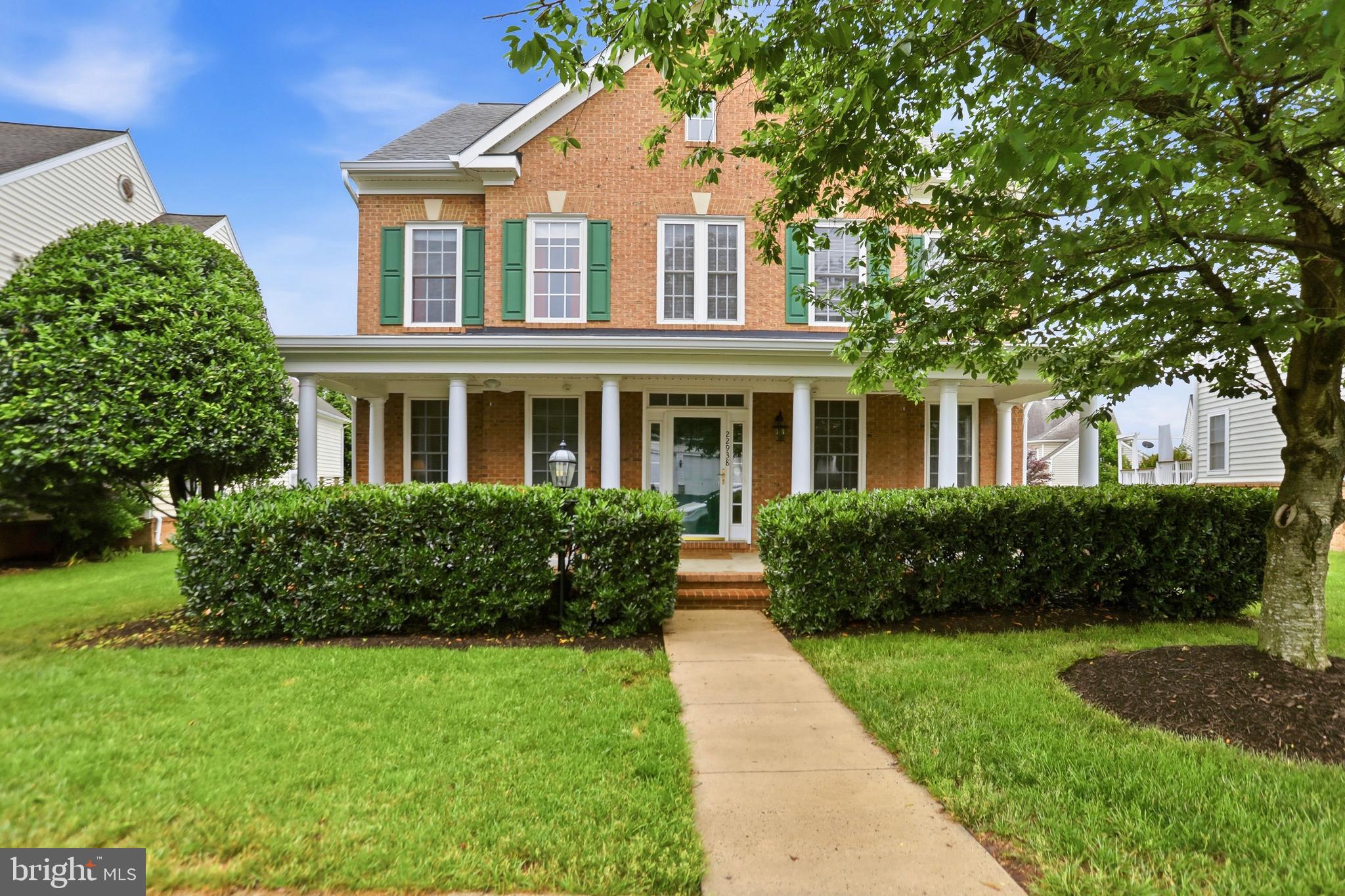 22938 GOLDENROD