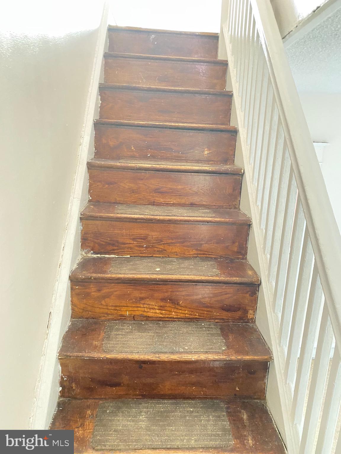 CASTOR GARDENS - Residential