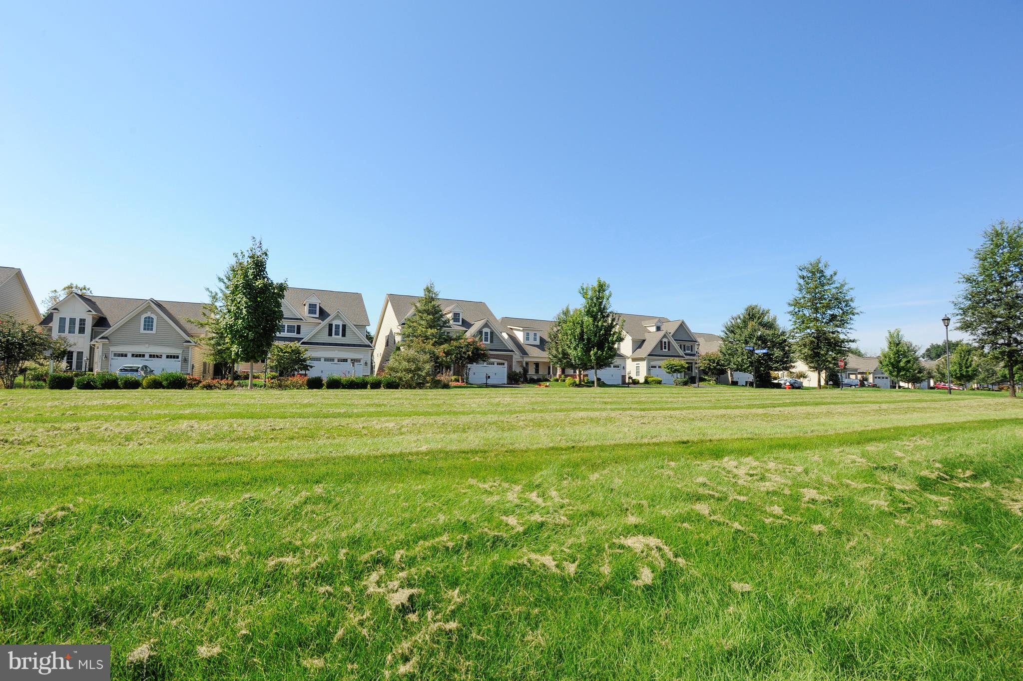 POTOMAC GREEN - Residential