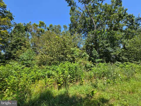 Vacant Land For Sale - LOT 24 Stone Fly Ln<br/> SUGAR GROVE, WV 26815