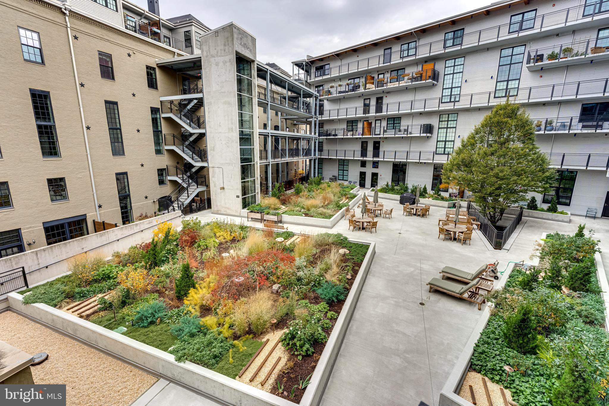 LITTLE ITALY - Residential