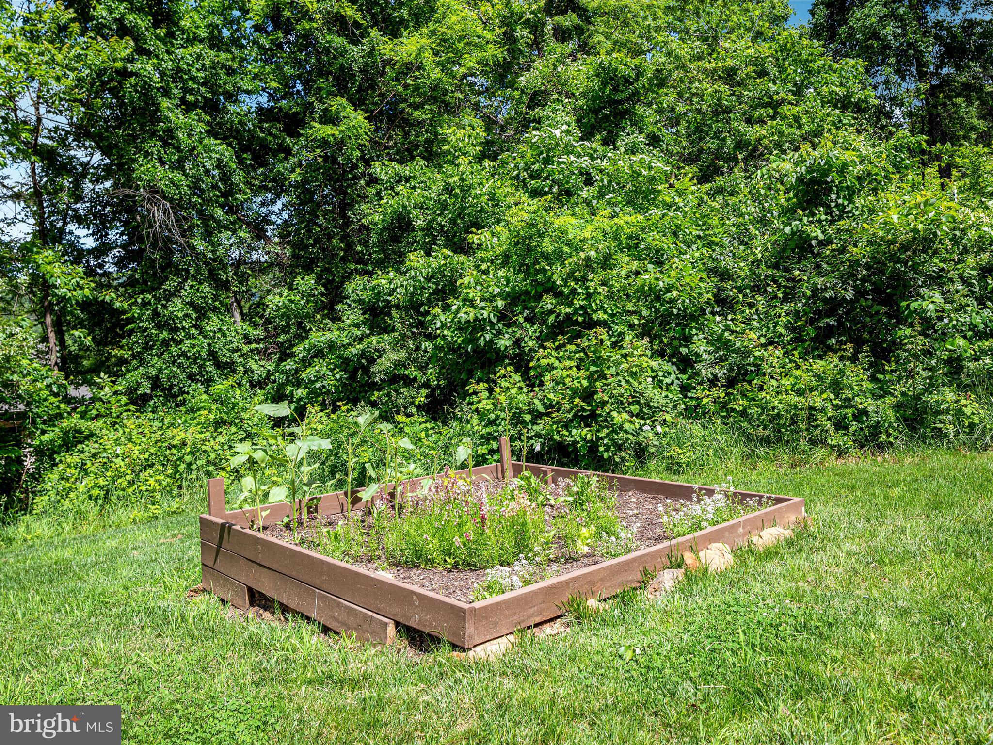 LAKE FRONT ROYAL - Residential