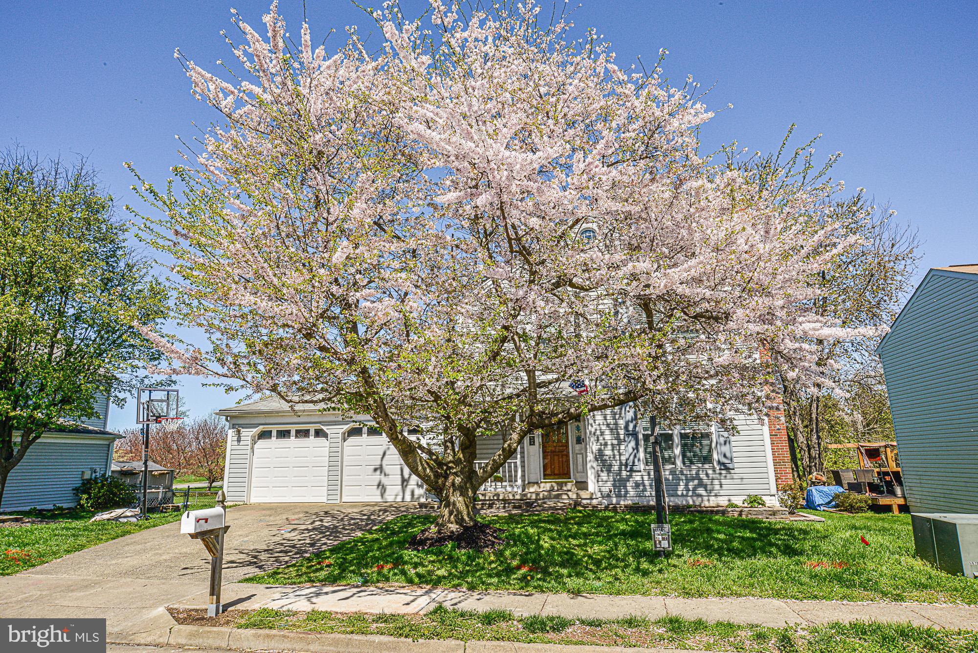 EXETER - Residential Lease