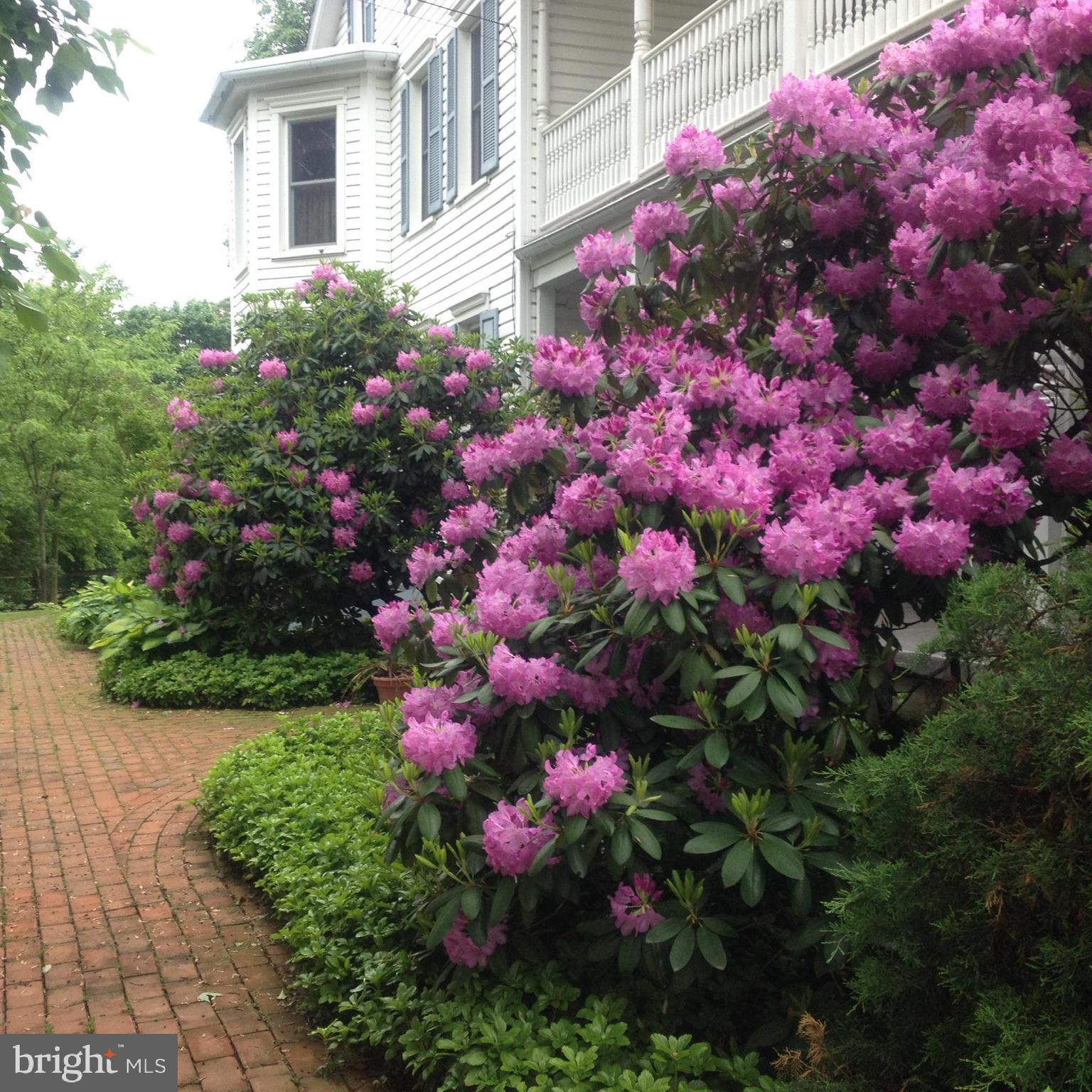 PEQUEA - Residential