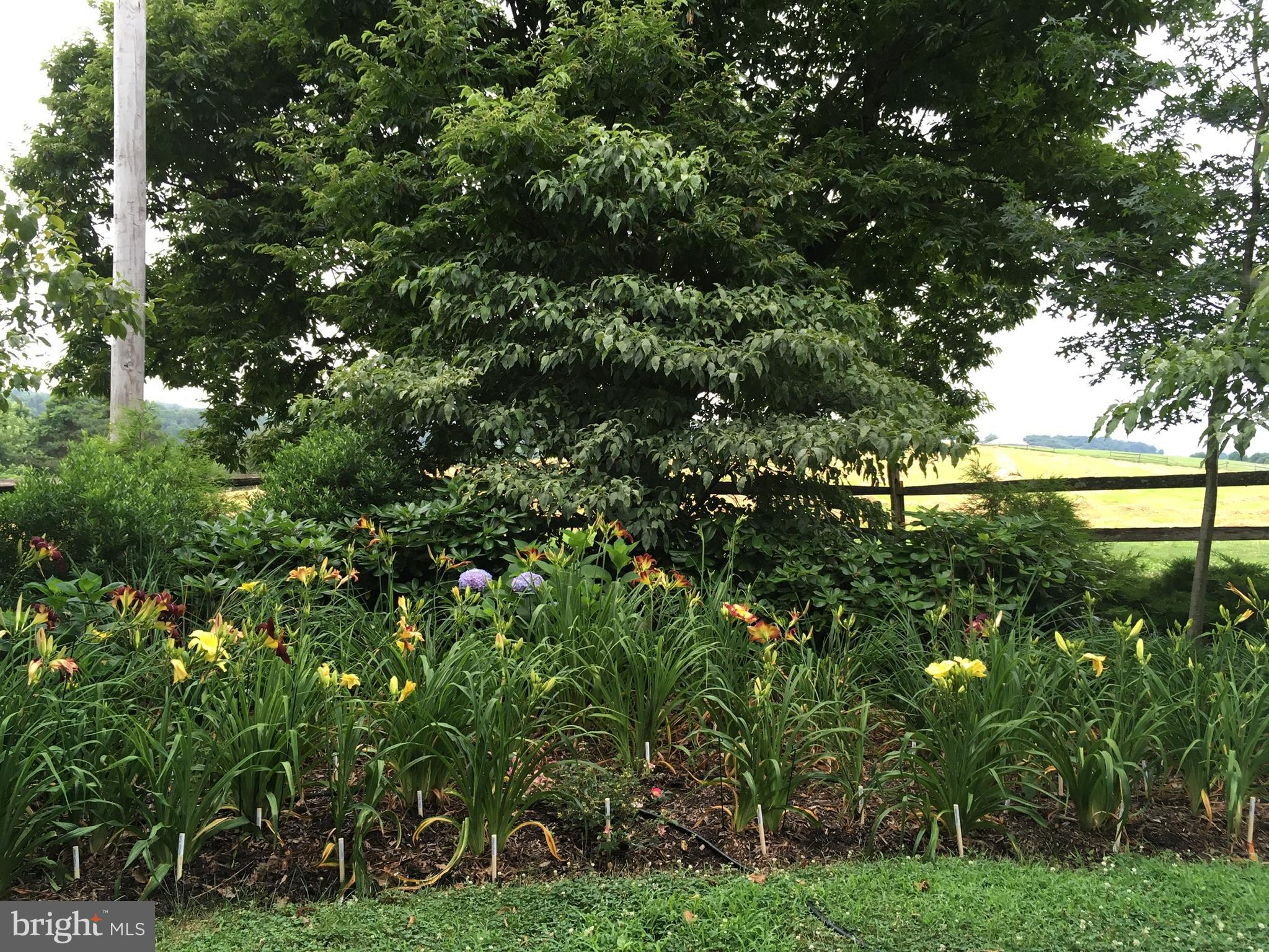 PEQUEA - Residential