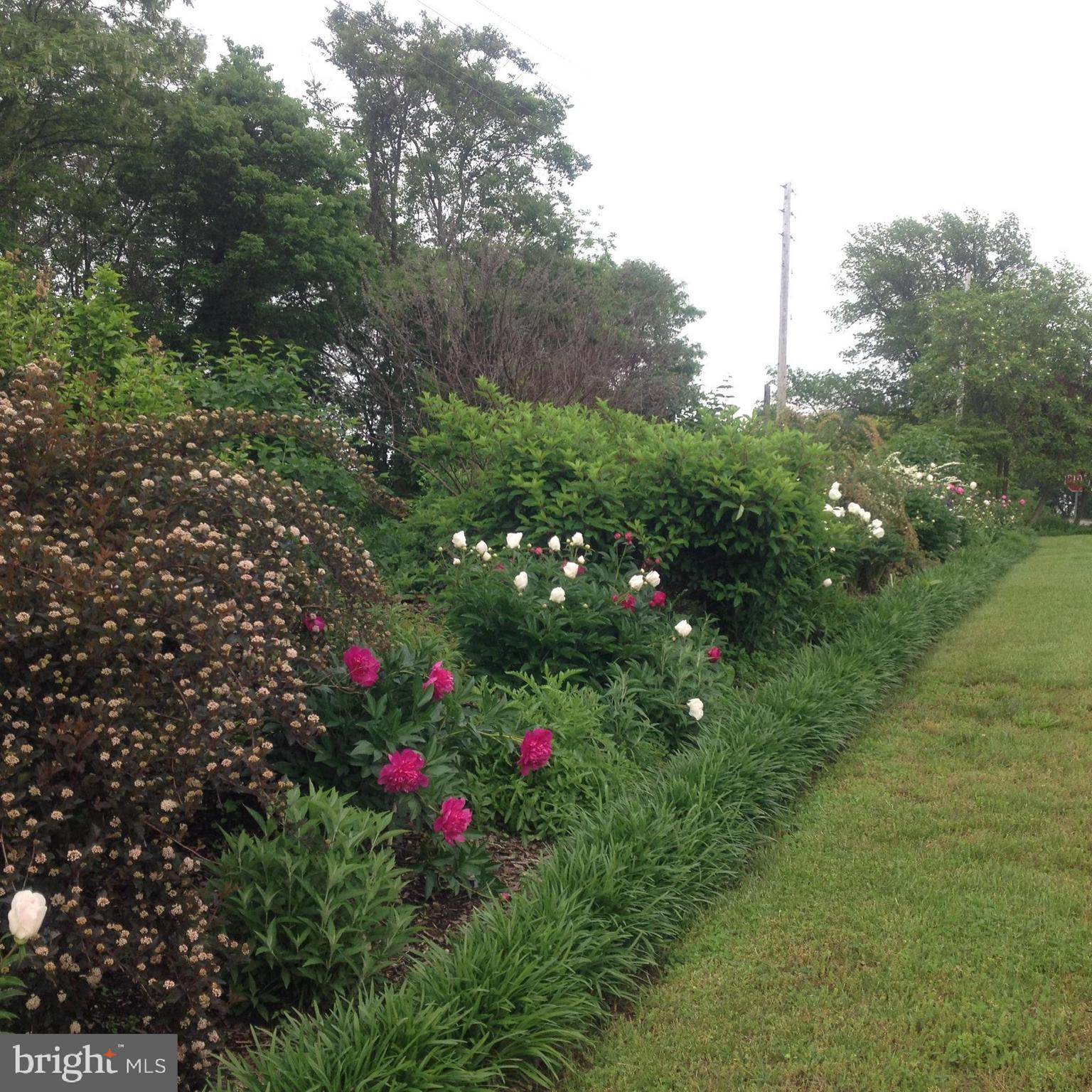 PEQUEA - Residential