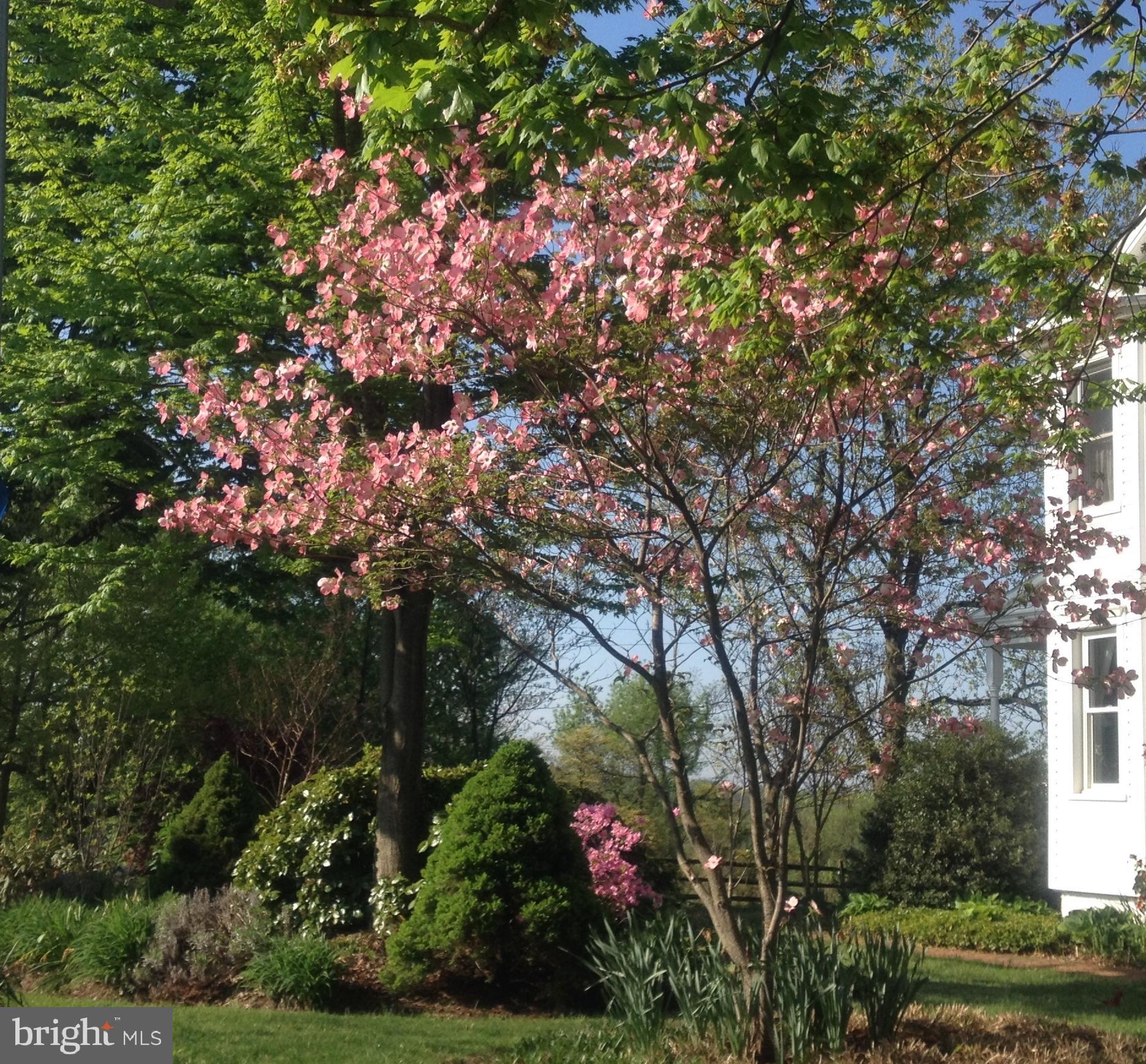 PEQUEA - Residential