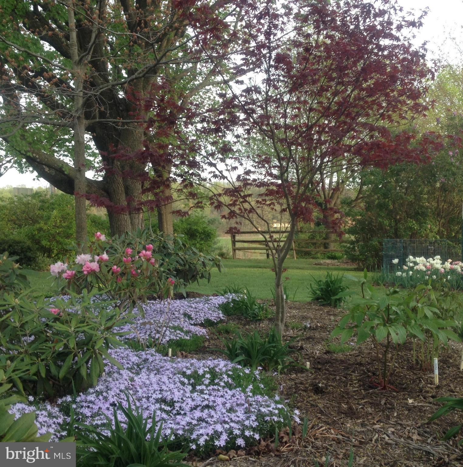 PEQUEA - Residential
