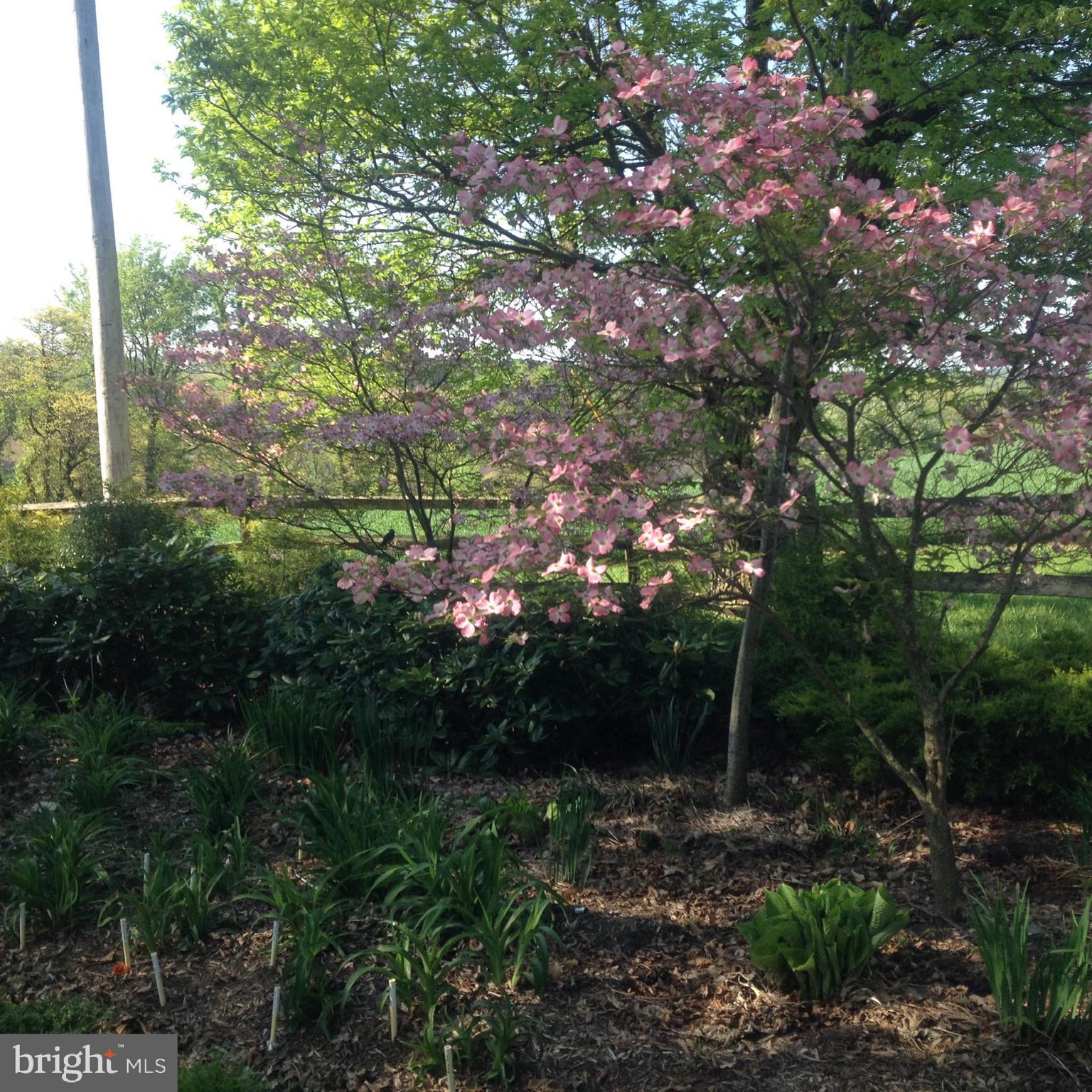 PEQUEA - Residential