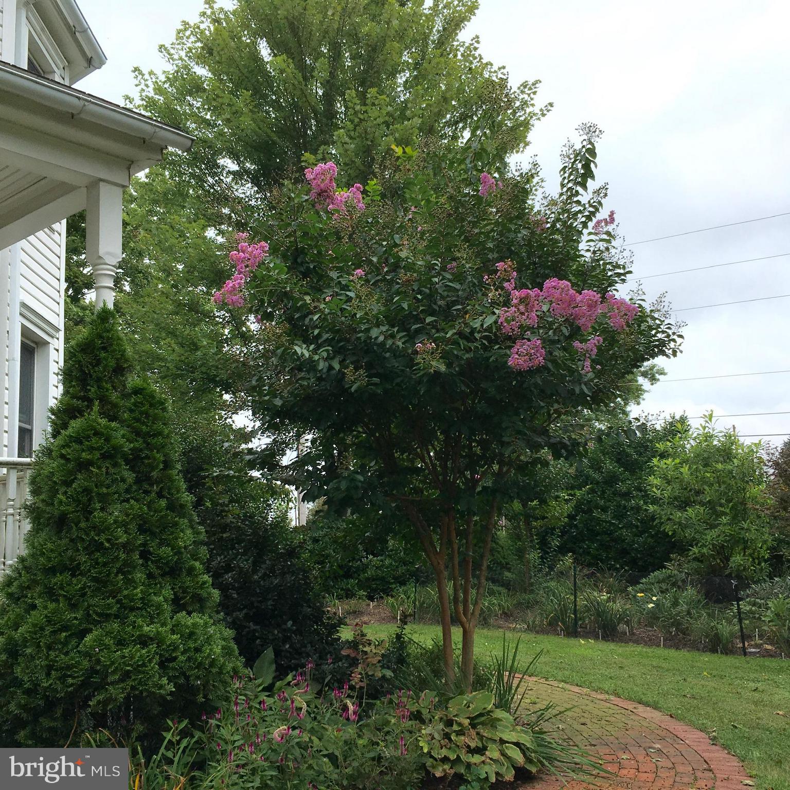 PEQUEA - Residential