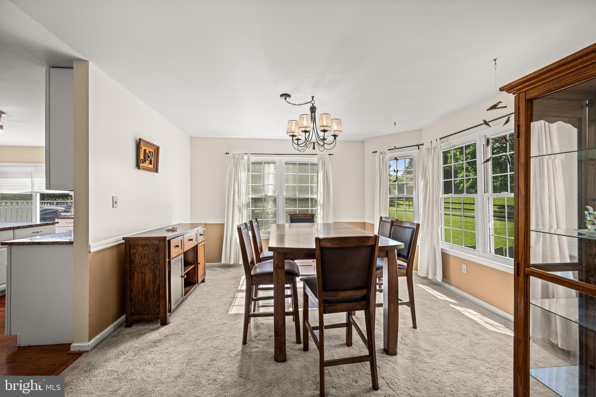 DULANY HILLS - Residential