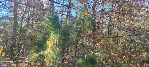 Vacant Land For Sale - Rock Point<br/> NEWBURG, MD 20664