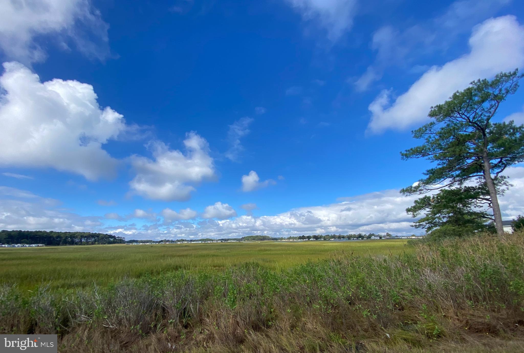 26406 PINE CONE DRIVE 155